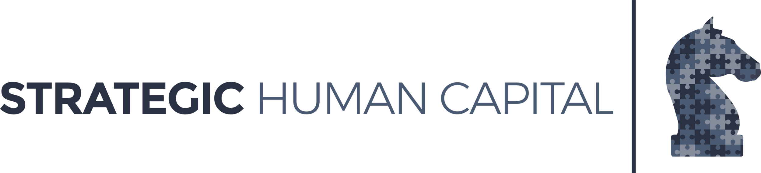 Strategic Human Capital